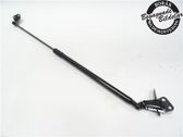 Tailgate strut