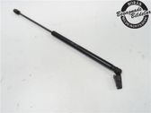 Tailgate strut