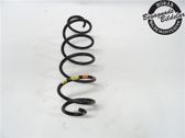 Muelle espiral trasero