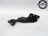 Rear door lower hinge