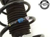 Front shock absorber with coil spring