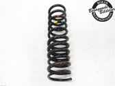 Rear coil spring