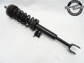 Front shock absorber with coil spring