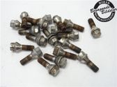 Nuts/bolts