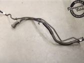 Fuel tank filler neck pipe