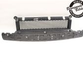Front bumper lower grill