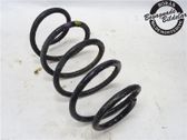 Front coil spring