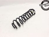 Rear coil spring