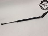Tailgate strut