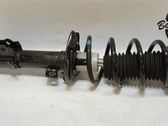 Front shock absorber with coil spring