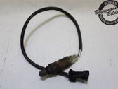 Sonde lambda