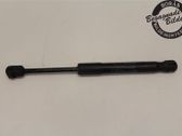 Front bonnet/hood damper/strut