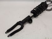 Front shock absorber with coil spring