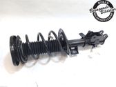 Front shock absorber with coil spring