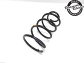 Front coil spring