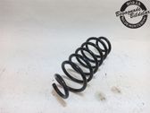 Rear coil spring
