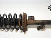 Front shock absorber with coil spring