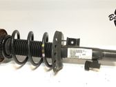 Front shock absorber with coil spring