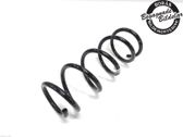 Rear coil spring