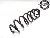 Muelle espiral trasero