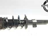 Front shock absorber with coil spring