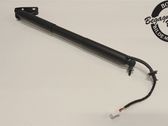 Tailgate strut