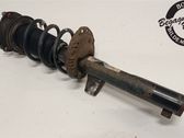 Front shock absorber with coil spring