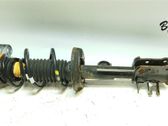 Rear shock absorber/damper