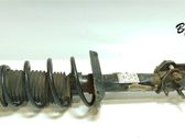 Front shock absorber with coil spring