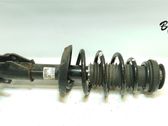 Front shock absorber with coil spring
