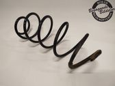 Front coil spring