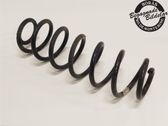 Muelle espiral trasero