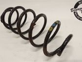 Front coil spring