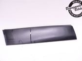 Rear door trim (molding)