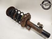 Front shock absorber with coil spring