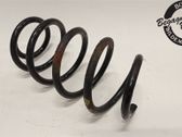 Front coil spring