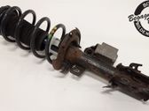 Front shock absorber with coil spring