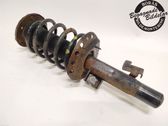 Front shock absorber with coil spring