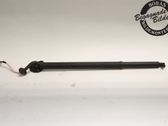 Tailgate/trunk strut/damper