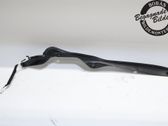 Tailgate/trunk strut/damper