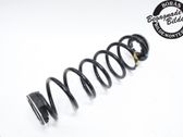 Rear coil spring