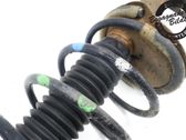 Front shock absorber with coil spring