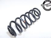 Muelle espiral trasero