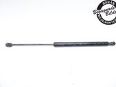Tailgate strut