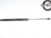 Tailgate strut