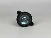 Rear door speaker