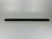 Tailgate/trunk strut/damper