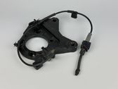 Rear wheel hub