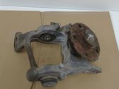 Rear wheel hub spindle/knuckle