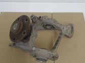 Rear wheel hub